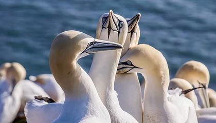 煤炭价格跌破700元大关！今日最新价格，市场行情报价走势