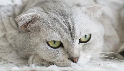 今日塑料价格行情分析