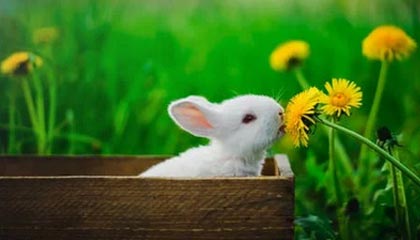 今日黄金价格行情(2025/09/20 10:30)