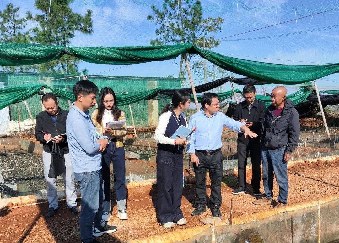 甄丽卿一行来饶开展“7条鱼”药物残留攻坚治理调研工作