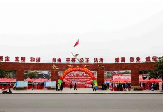柳州融安：春风送岗 “融”易就业