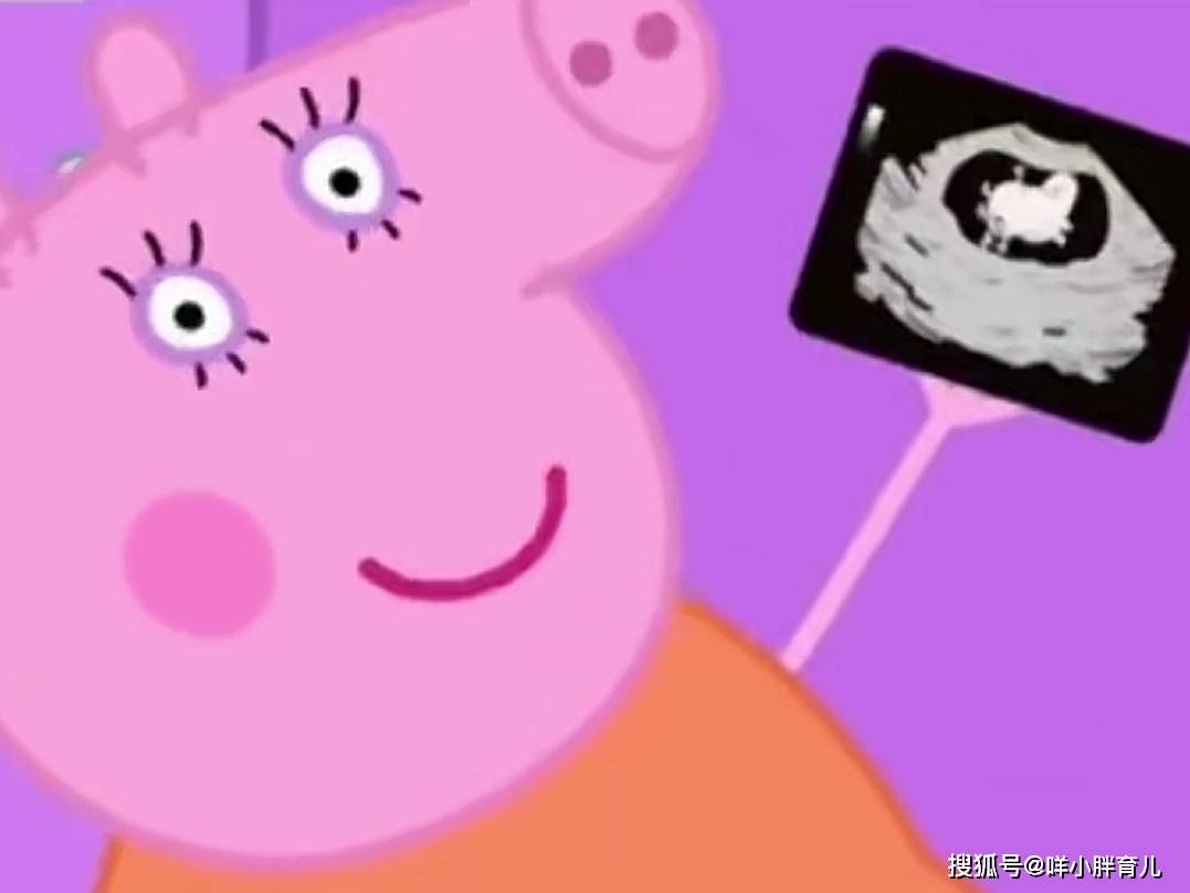 小猪佩奇妈妈官宣三胎，敢多生娃的家庭氛围很重要，佩奇家都具备