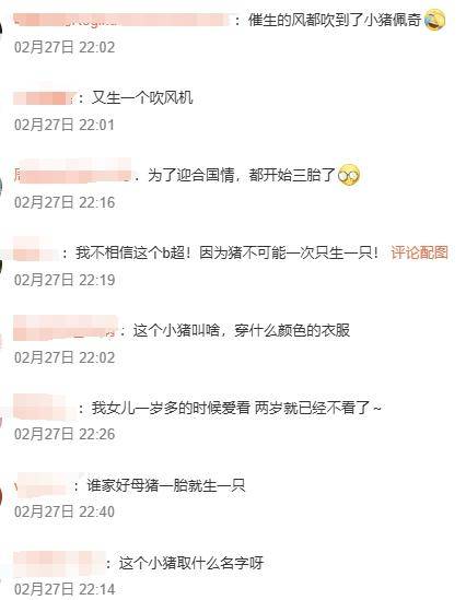 《小猪佩奇》猪妈妈宣布怀三胎 网友:又生一个吹风机