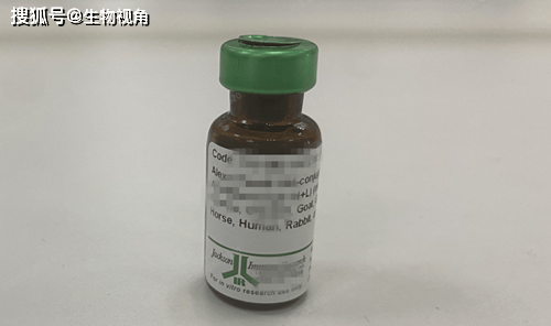 HRP标记亲和纯化山羊抗小鼠IgG二抗,与Fcγ链特异性反应