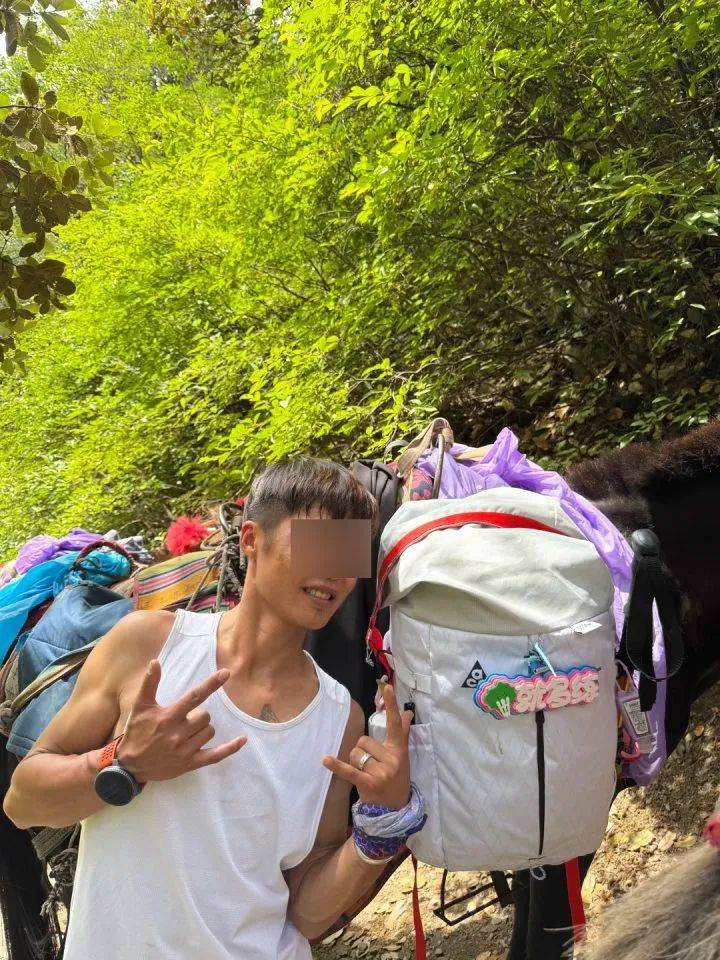 男子梅里雪山徒步失联14天，妻子紧急寻人！