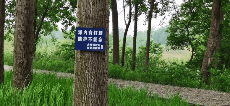 一旦接触，10秒即可感染！汛期谨防这种病→