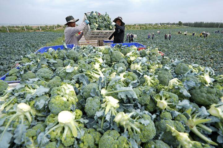 镜观·回响丨坚持以人为本 推进共同富裕