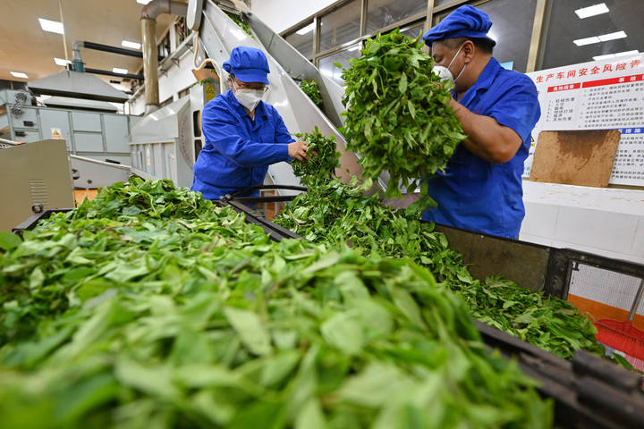 镜观·回响丨坚持以人为本 推进共同富裕