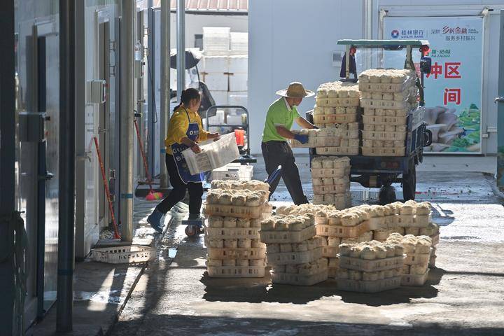 镜观·回响丨坚持以人为本 推进共同富裕