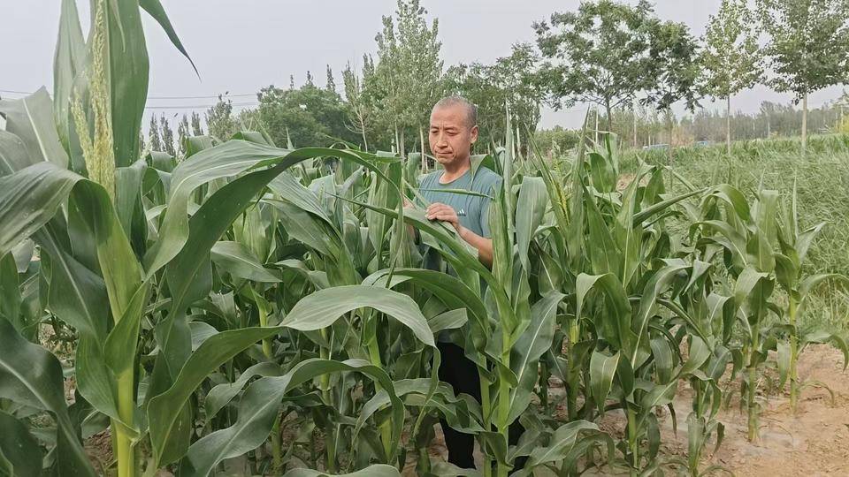 好网民·在东营|索志河:以笔为犁,书写黄土地上的文学梦