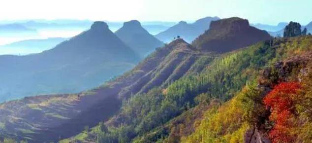 档案里的山东抗战