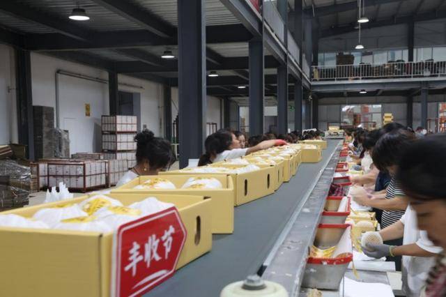 在拼多多单月卖出5000吨莱阳梨，95后新农人为何“收编”果园？