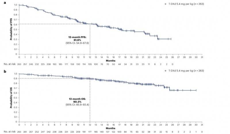 2025年7月25日国家药监局拟将德曲妥珠单抗(Enhertu、DS8201、优赫得、T-DXd、Trastuzumab deruxtecan)新辅助治疗HER2阳性乳腺癌纳入优先评审
