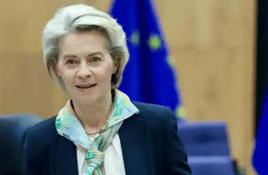 比美国还多1992吨，中方对欧放开稀土！欧盟刚讨到好处，转身要拉黑12家中企