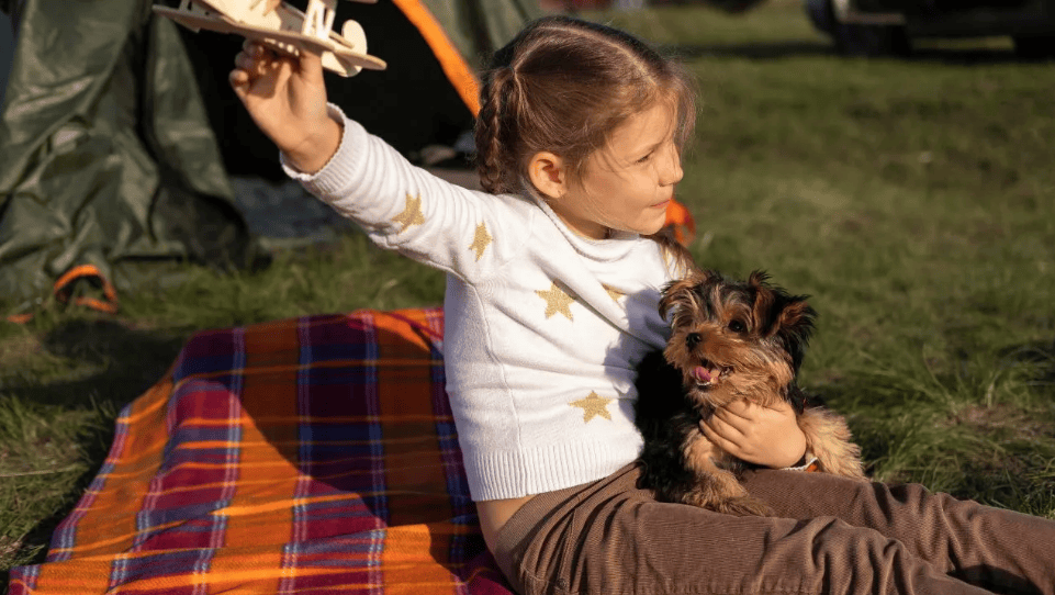 智能宠品卖爆全球，河南铲屎官们买出大市场