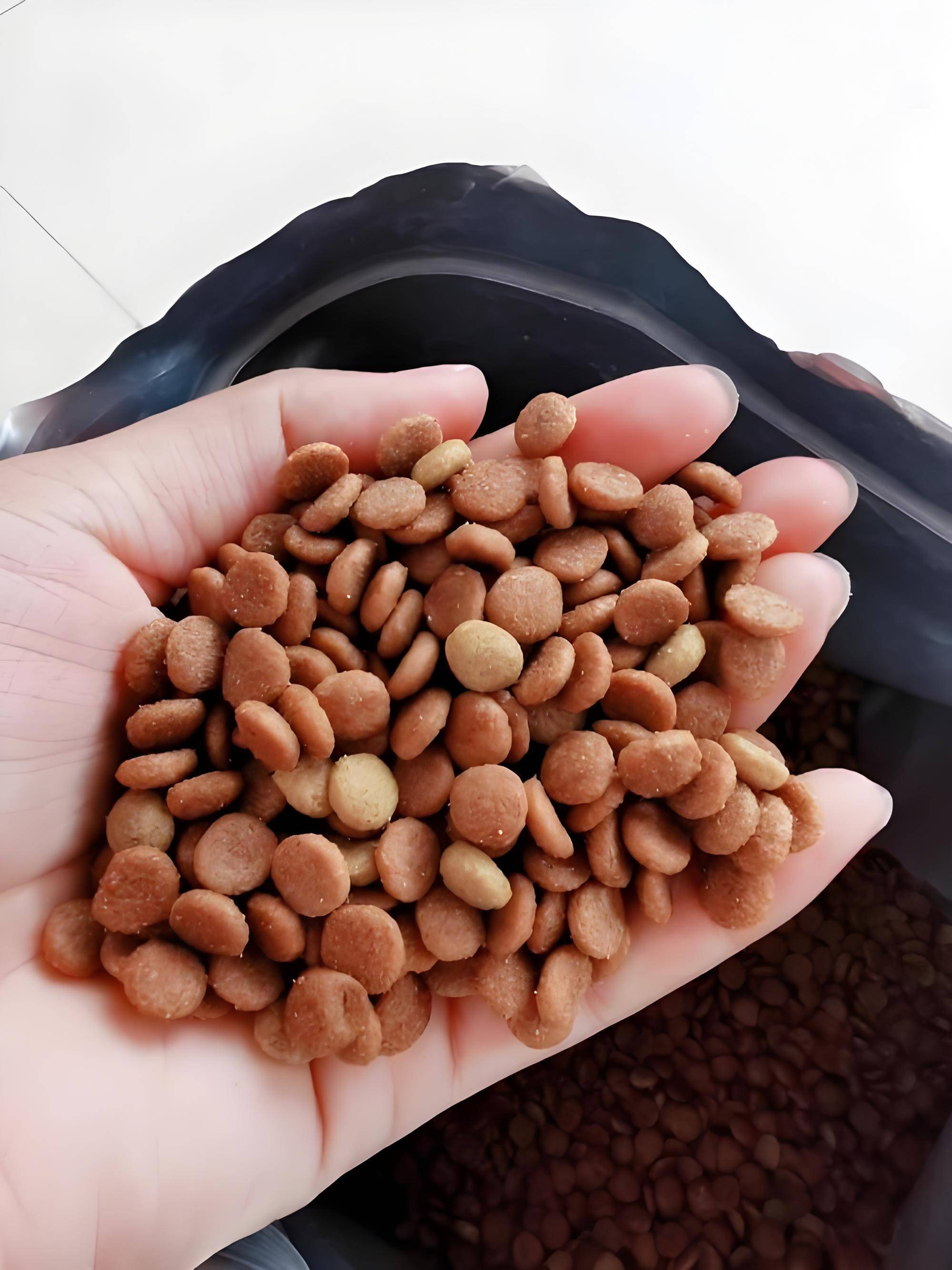 双十一狗粮别瞎买！5 款高口碑推荐，铲屎官直接抄作业