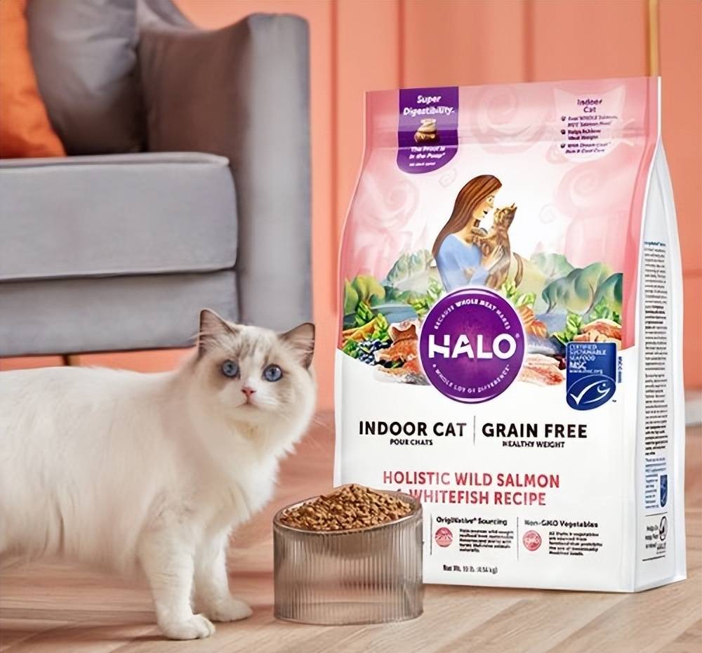 双十一买什么猫粮好？铲屎官在犯的愁有解了！