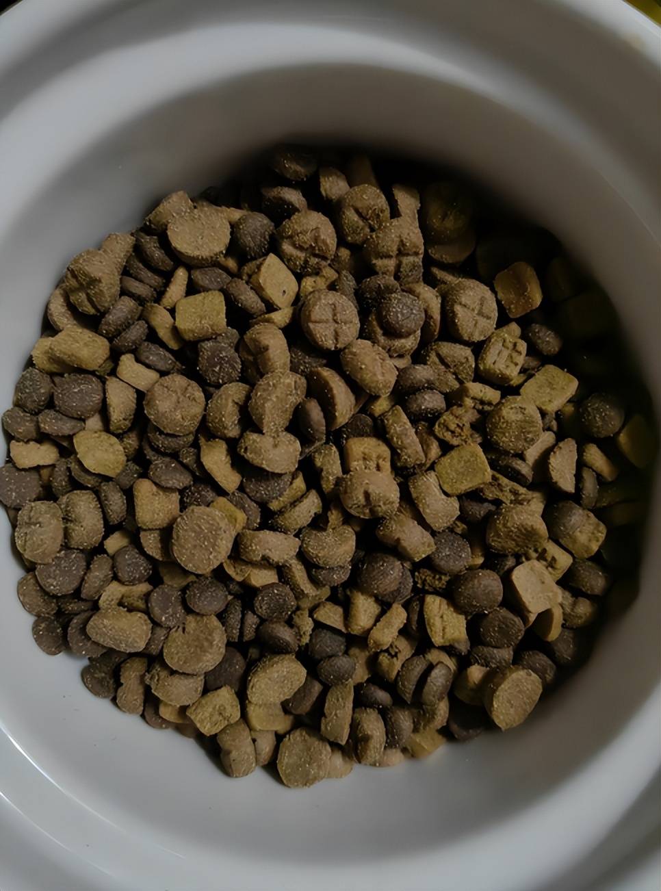 加菲猫铲屎官别乱买！猫粮排行榜 + 性价比排名，闭眼入不踩坑