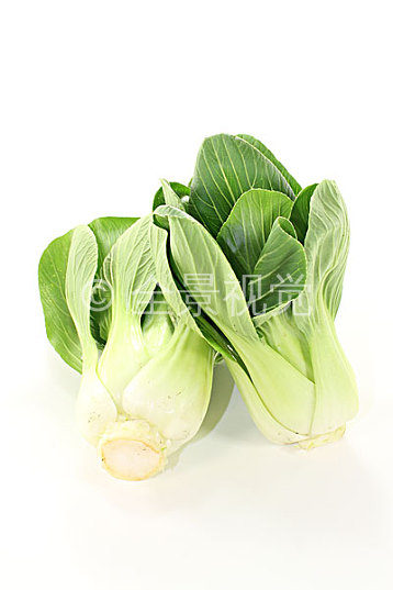 小白菜理财(小白菜案件怎么回事?)