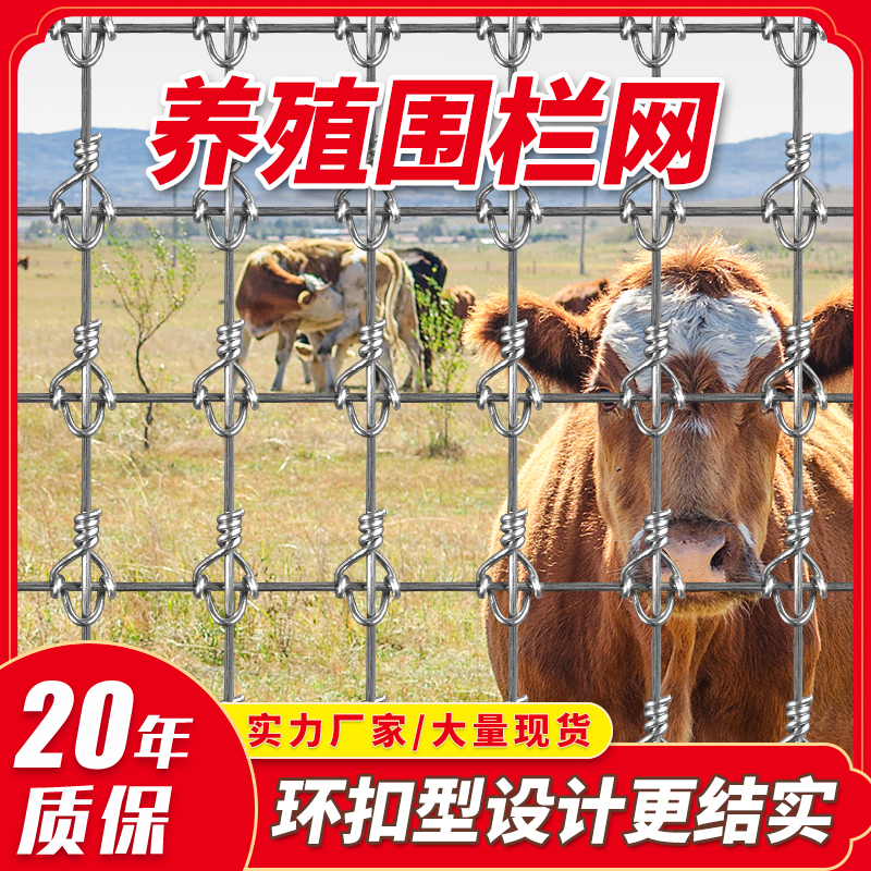 鹿网(鹿网名)