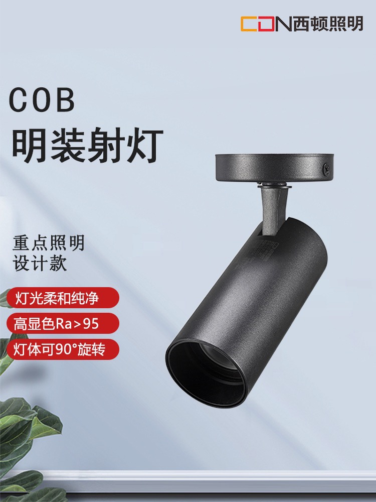 CEX(cex是什么意思?)