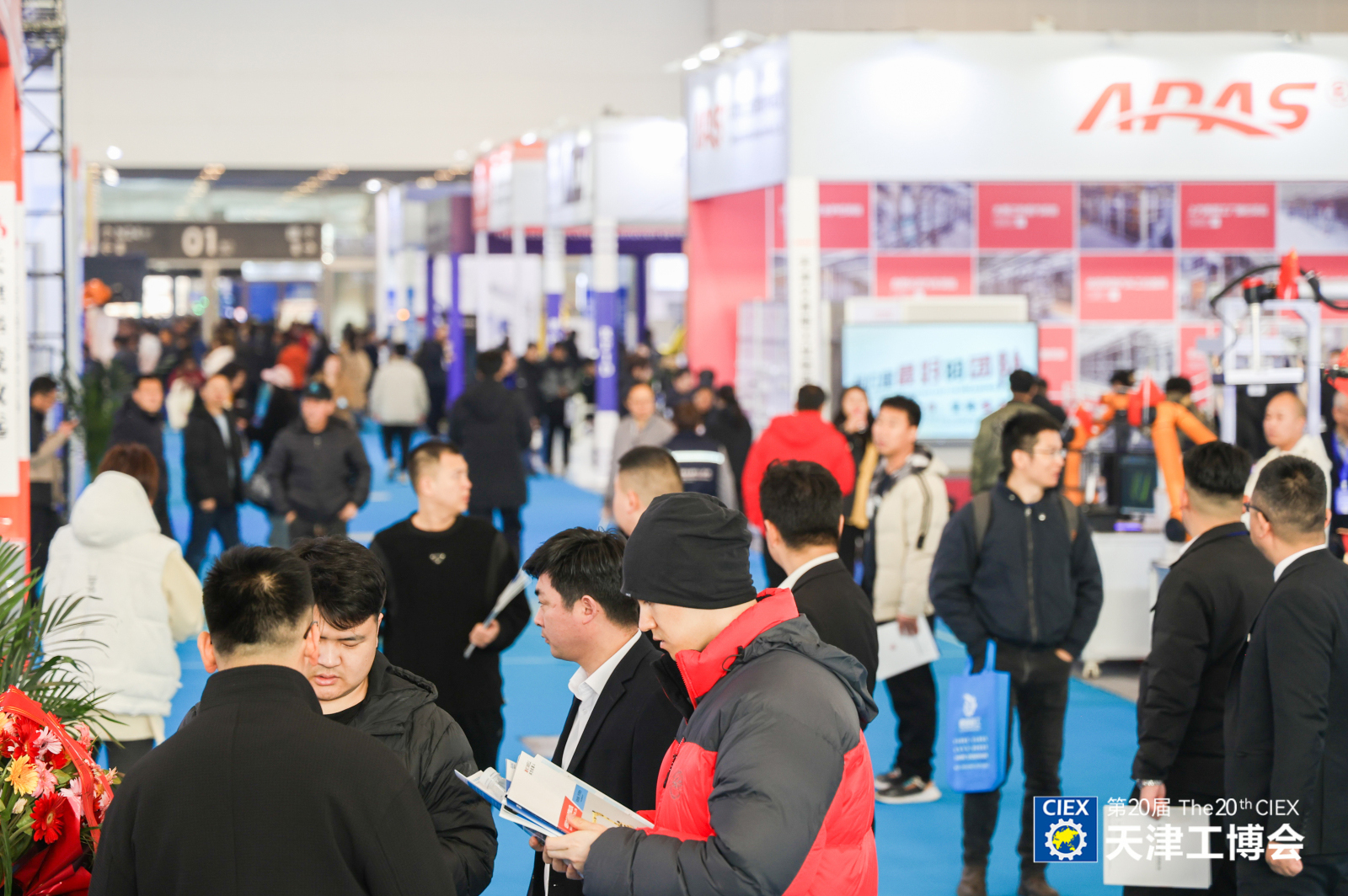 CIEX(雌蛾雄蛾有什么区别)