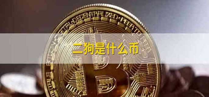 二狗币(二狗币超话)